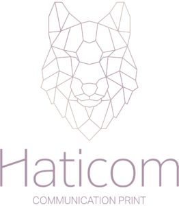 logo haticom haticom logo